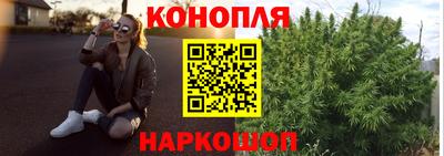 хмурый Шелехов