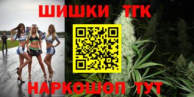хмурый Шелехов