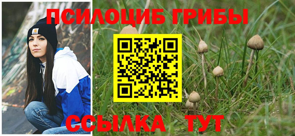 Галлюциногенные грибы Psilocybine cubensis  Вход с VPN  Мегион 